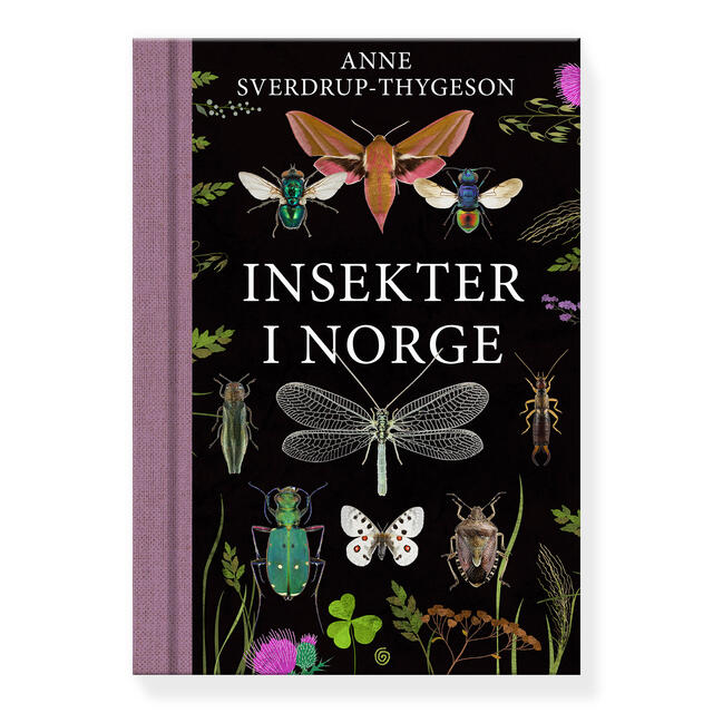 Insekter i Norge Kagge Insekter i Norge