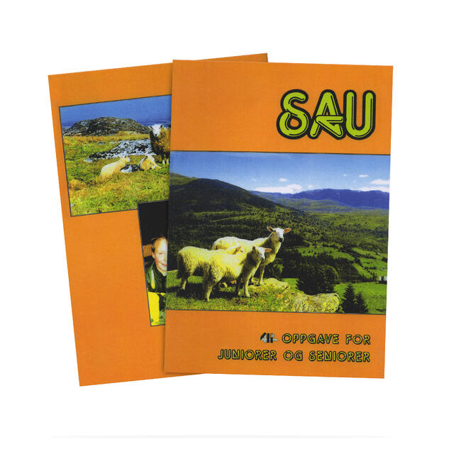 Sau 4H Prosjekthefte Sau