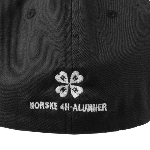 N4HA-caps N4HA-caps Flexfit S/M Black