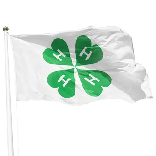 4H-flagg 4H Flagg