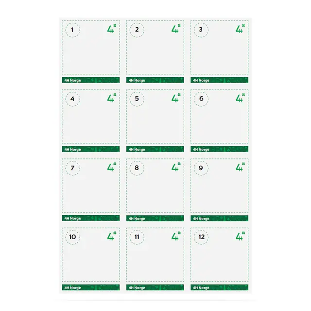 Stemmesedler 4H Stemmesedler 12 stk. 