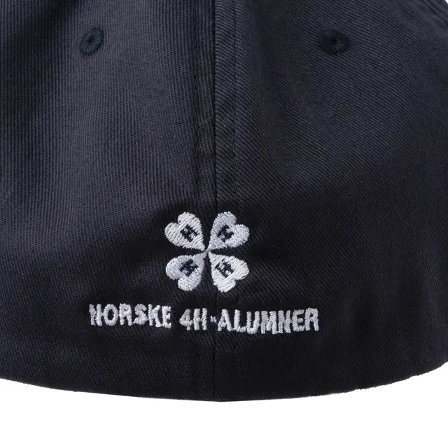 N4HA-caps N4HA-caps Flexfit S/M DarkNavy 