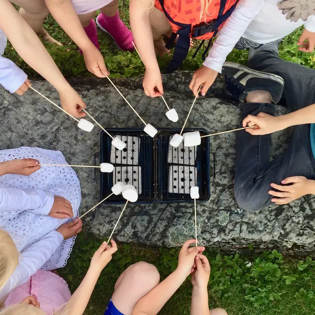 Grill EcoBBQ Minigrill 