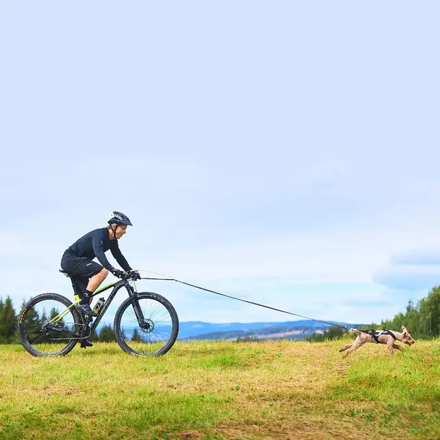 Sykkelantenne til hund Non-stop Bike Antenna 