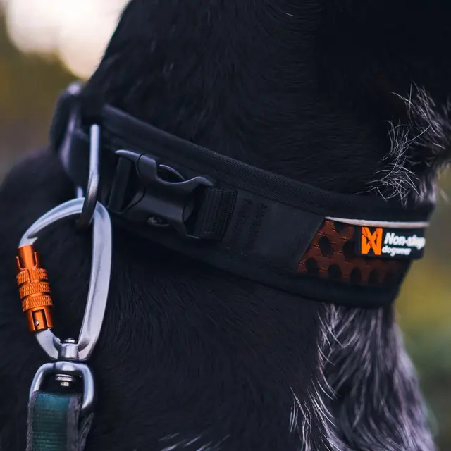 Halsbånd til hund L Non-stop Rock Adjustable Collar L 