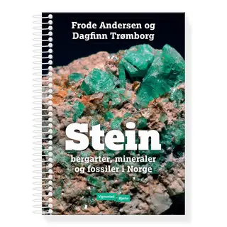 Stein Vigmostad &amp; Bj&#248;rke Stein