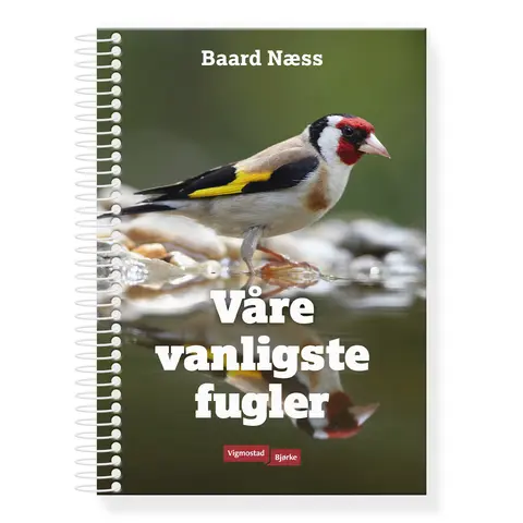 Våre vanligste fugler Vigmostad &amp; Bjørke Våre vanligste fugler